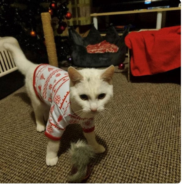 Cat Christmas Pyjamas