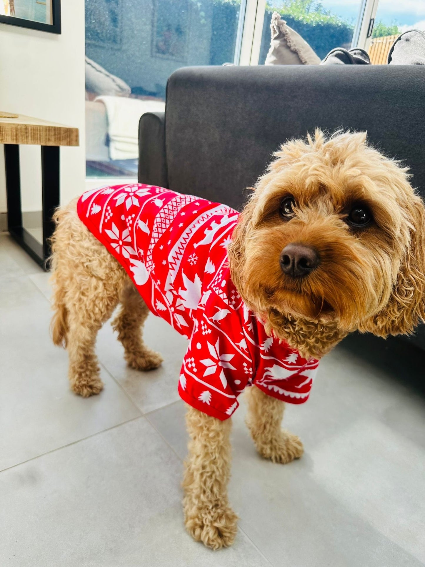 Dog Christmas Jumper