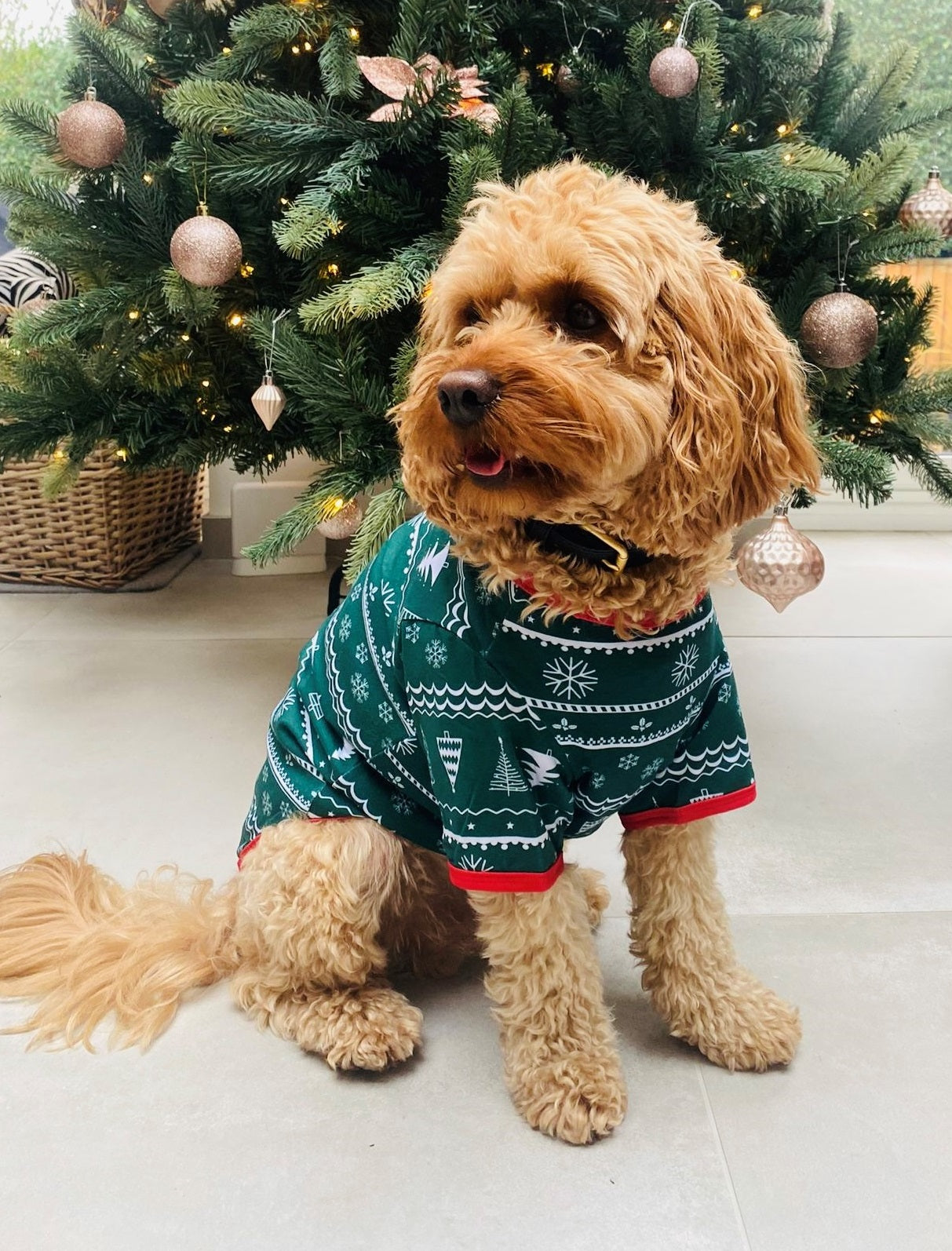 Dog Christmas Pyjamas