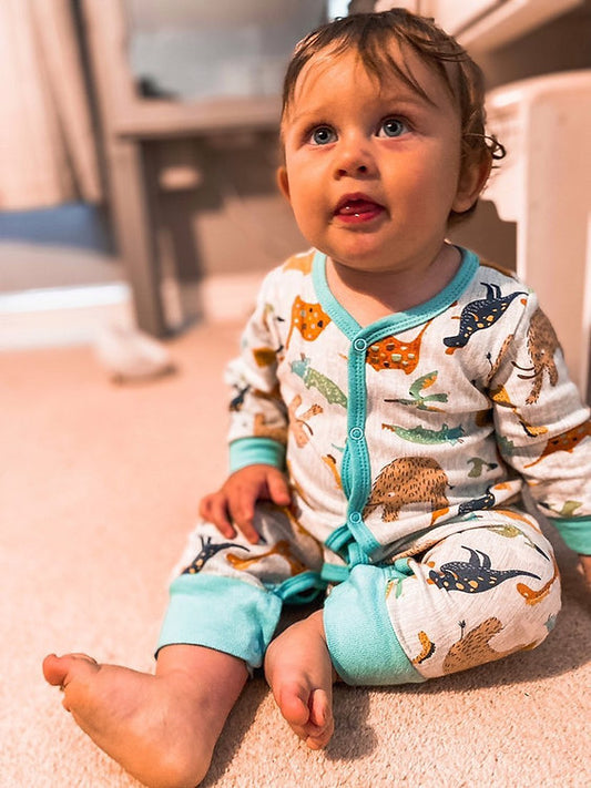 Dinosaur Romper