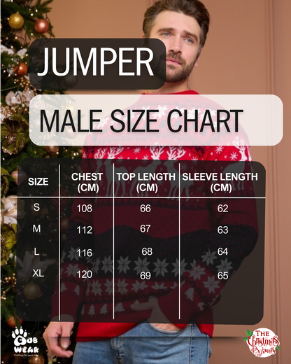 Family Matching Christmas Jumper