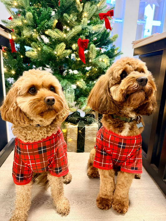 Traditional Dog Christmas PJs